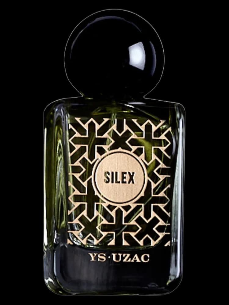 Silex unisex — Ys-Uzac