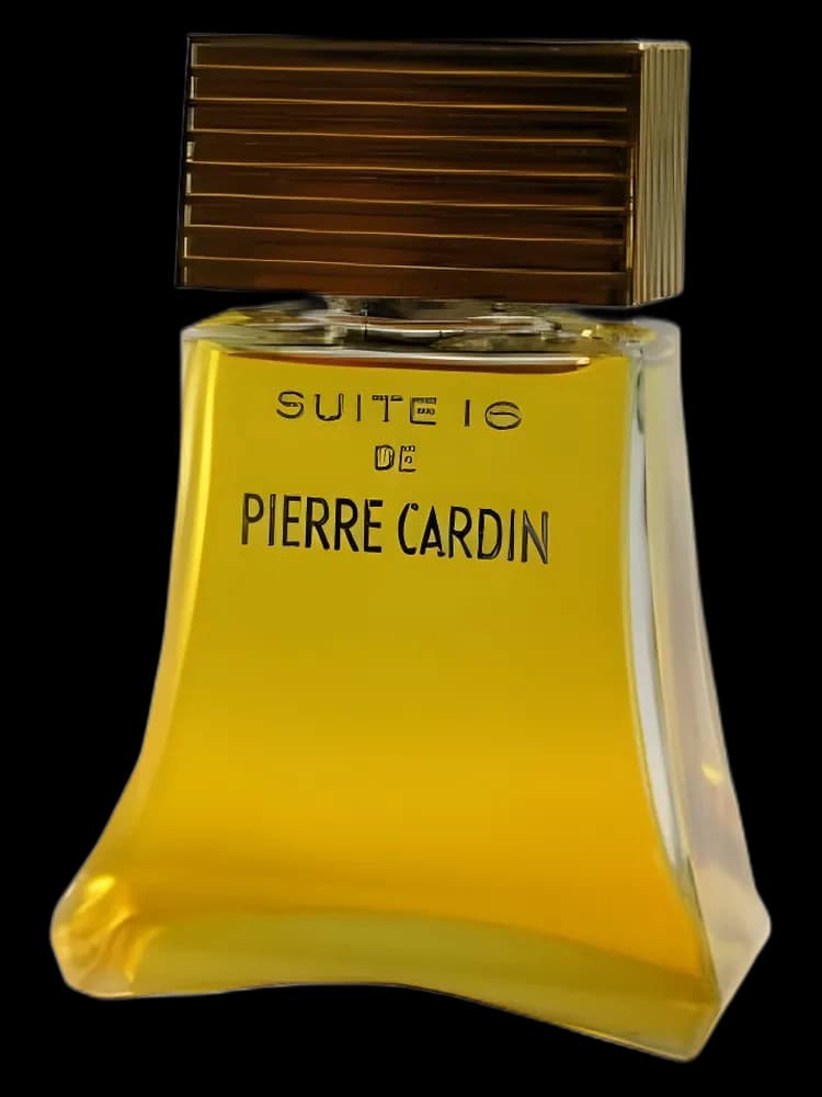 Suite 16 for women — Pierre Cardin
