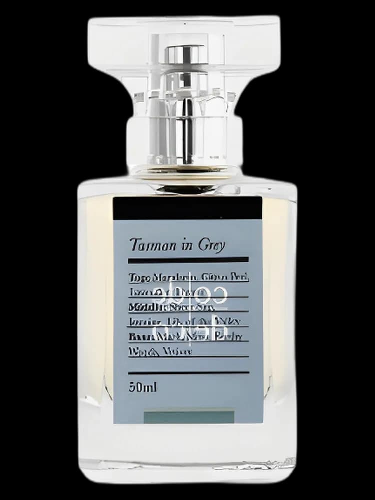 Tasman in Grey for men — Code Deco