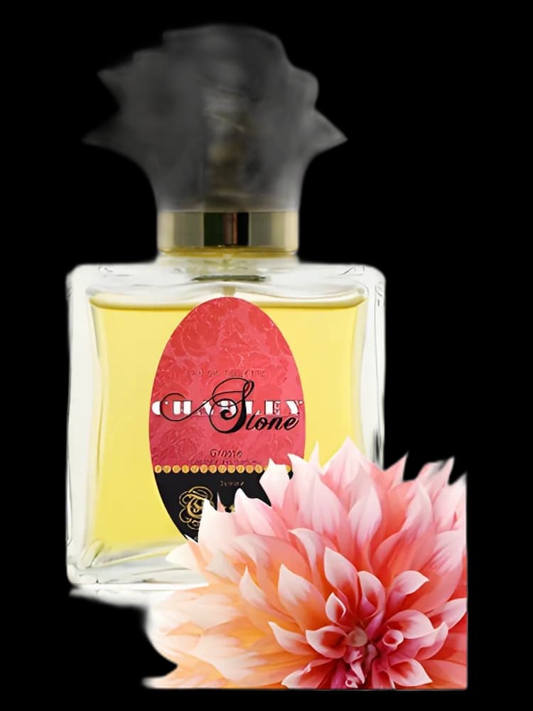 Tayani for women — Guy Bouchara