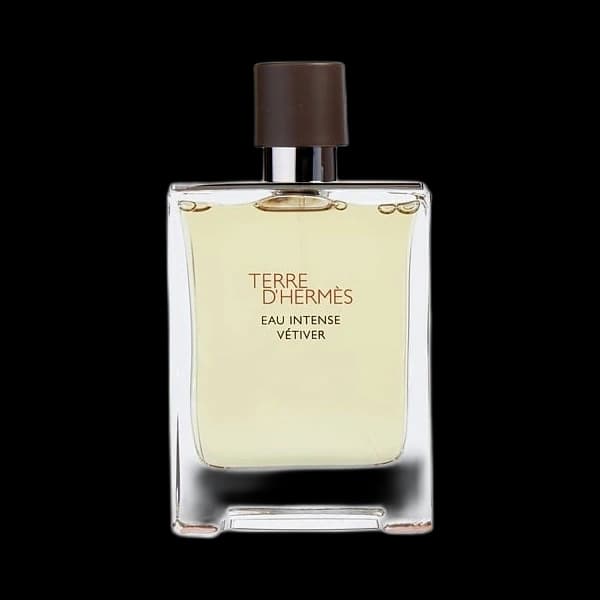 Terre d'Hermes Eau Intense Vetiver — Hermes