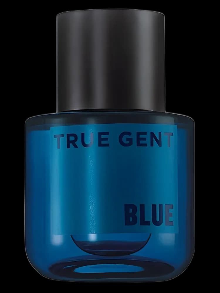 True Gent Blue for men — Avon