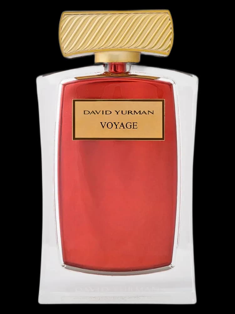 Voyage unisex — David Yurman