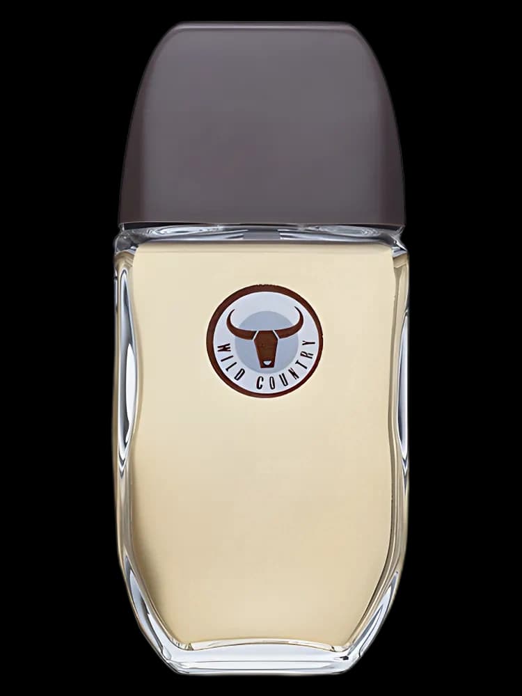 Wild Country for men — Avon