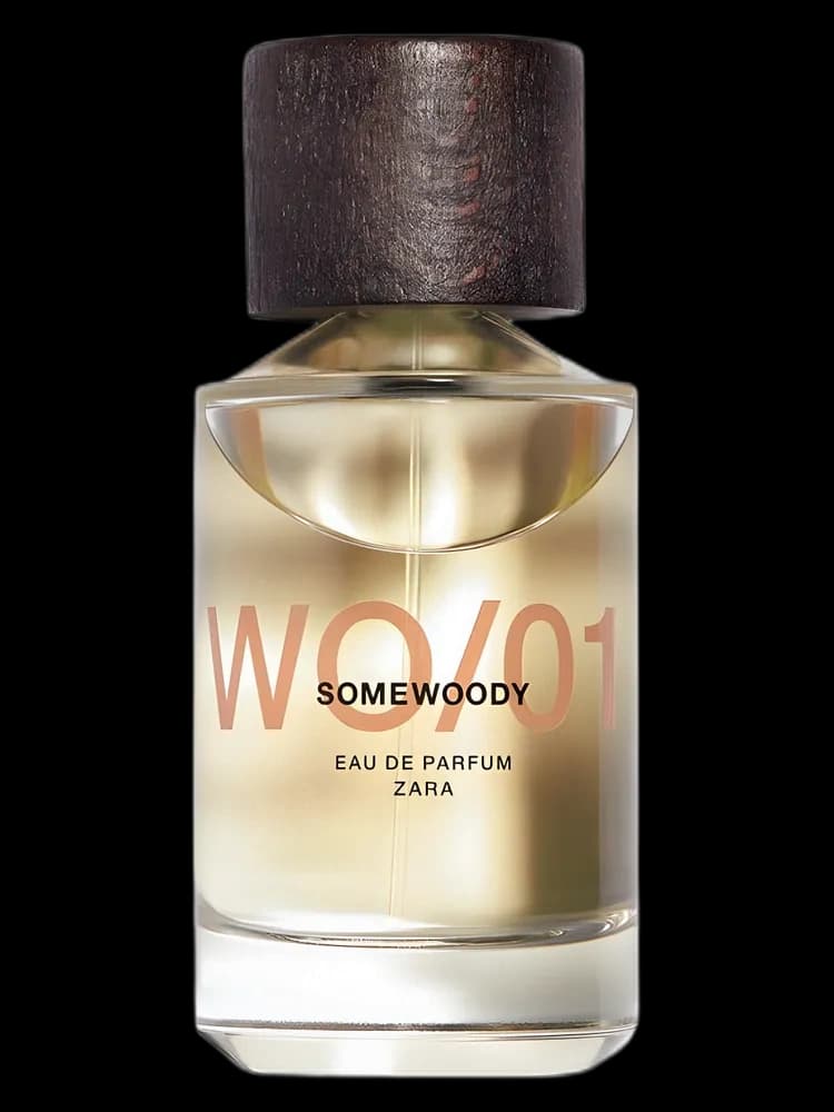 WO/01 Somewoody for men — Zara