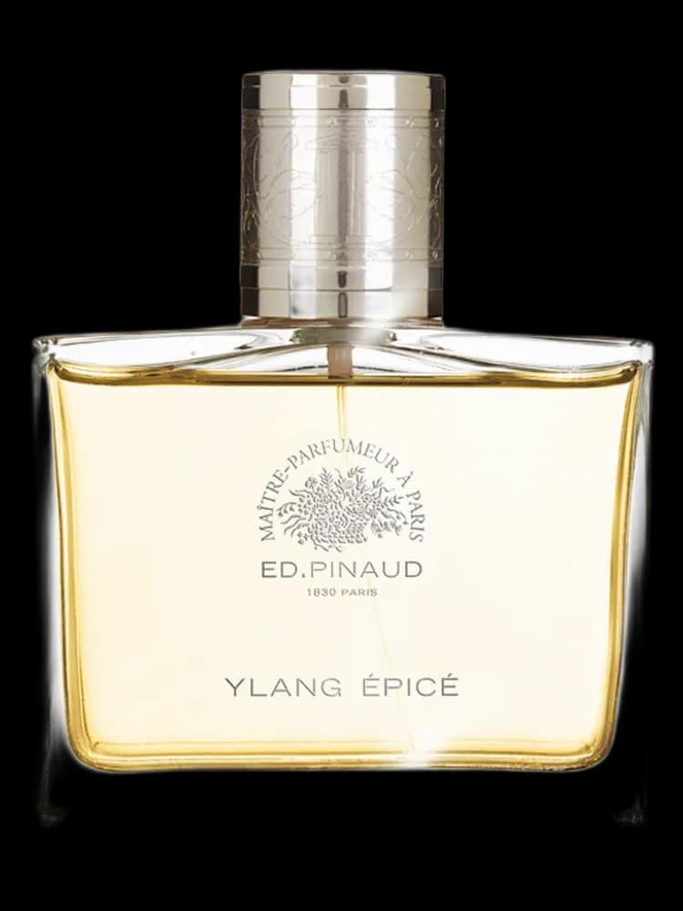 Ylang Epice for men — Ed Pinaud